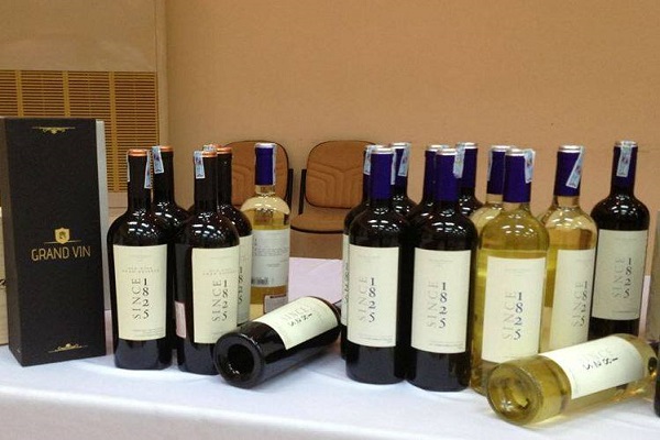Vang Chile Since 1825 Classic Vang Chile Since 1825 Classic