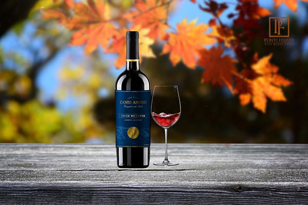 Rượu vang Chile Canto Andino Gran Reserva