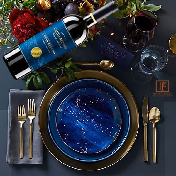 Rượu vang Chile Canto Andino Gran Reserva