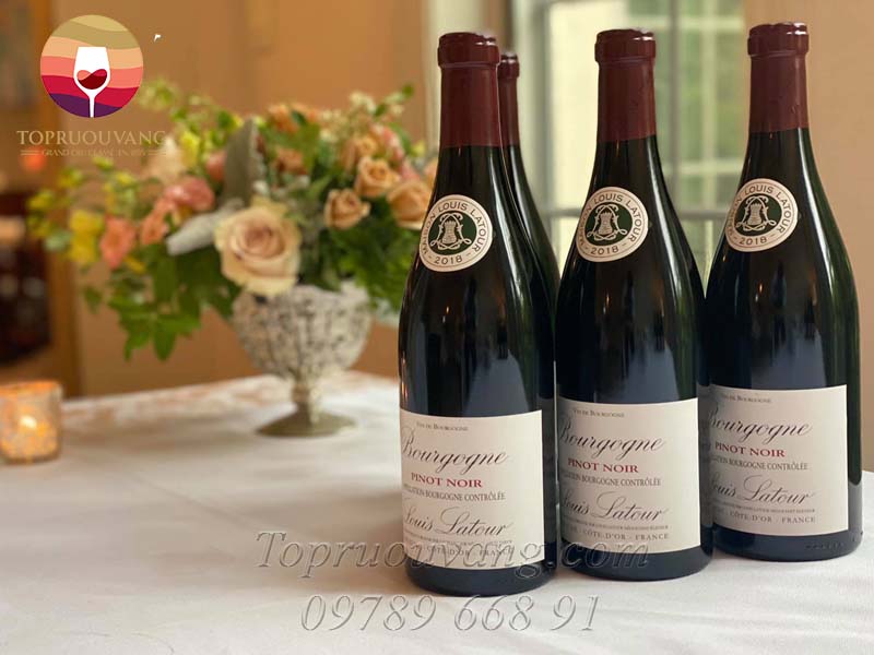 Rượu vang Pháp Louis Latour Bourgogne Pinot Noir 1 Rượu vang Pháp Louis Latour Bourgogne Pinot Noir