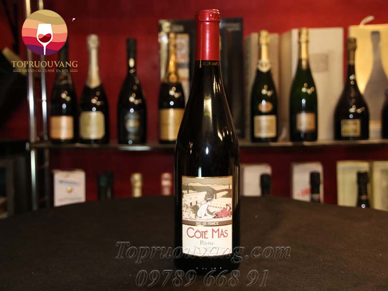 Rượu vang Pháp Cote Mas Pezenas Terroir Fusionnel Rượu vang Pháp Cote Mas Pezenas Terroir Fusionnel