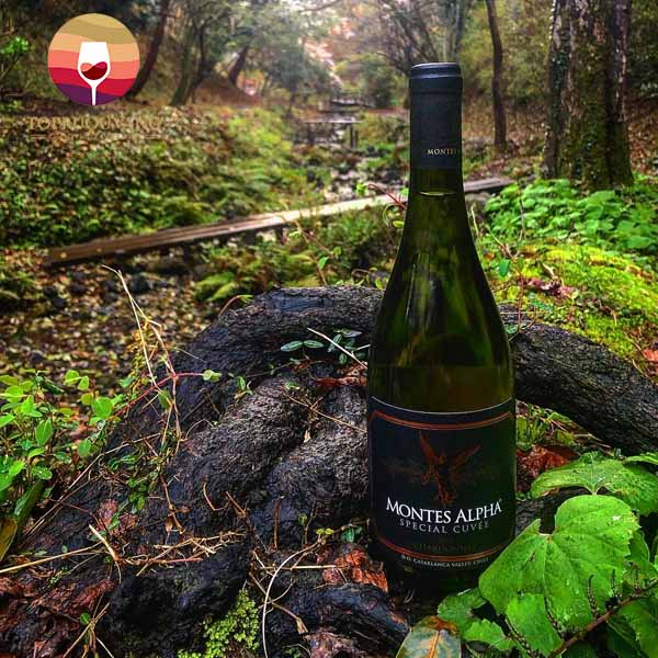 Rượu vang Montes Alpha Special Cuvee Chardonnay Rượu vang Montes Alpha Special Cuvee Chardonnay