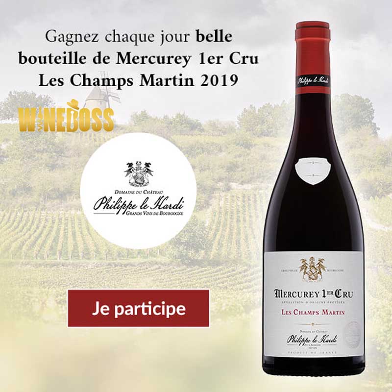 Rượu Chateau Philippe Le Hardi Mercurey 1er Cru Les Puillets Domaine Rượu Chateau Philippe Le Hardi Mercurey 1er Cru Les Puillets Domaine