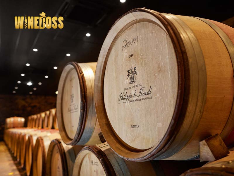 Rượu vang Chateau Philippe Le Hardi Santenay 1Er Cru La Comme Domaine Rượu vang Chateau Philippe Le Hardi Santenay 1Er Cru La Comme Domaine