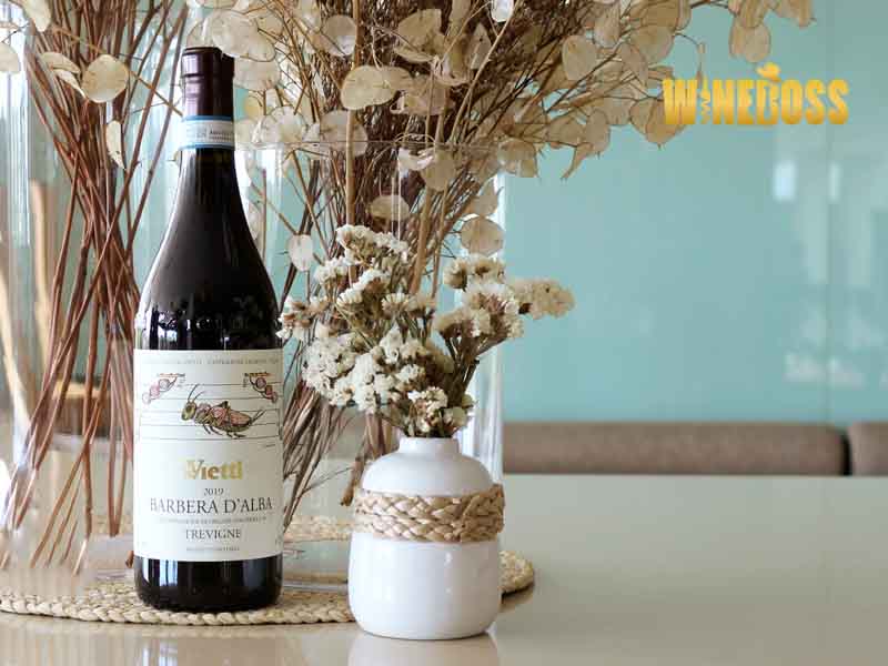 Rượu vang Vietti Barbera D'Alba Tre Vigne DOC 1 Rượu vang Vietti Barbera D'Alba Tre Vigne DOC 1