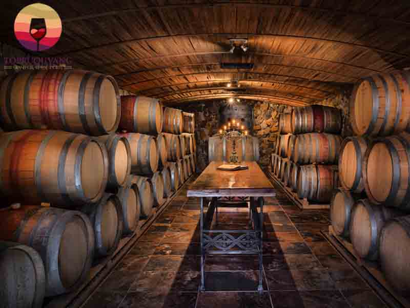 Rượu vang Argentinan El Enemigo Malbec