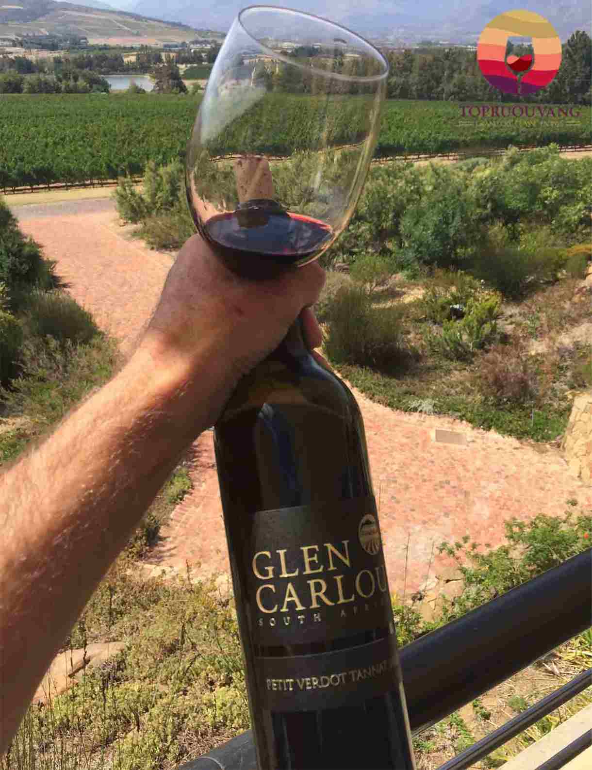 rượu vang Glen Carlou Cabernet Sauvignon nhập khẩu chính hãng