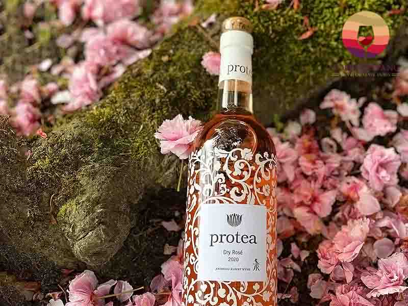 Rượu vang hồng Protea Dry Rosé