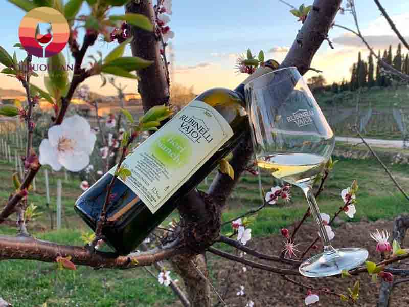 Rượu vang Ý Rubinelli Vajol Fiori Bianchi