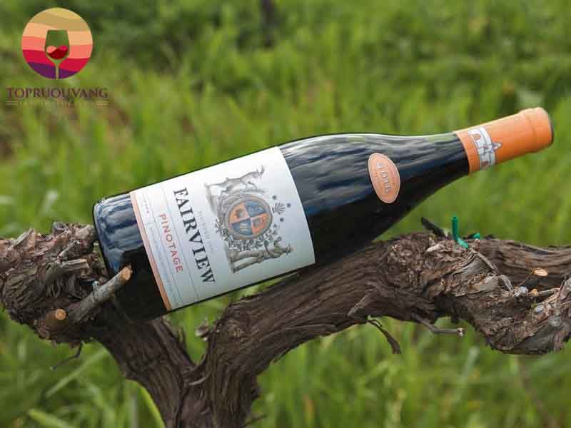 Rượu vang Fairview Pinotage Western Cape