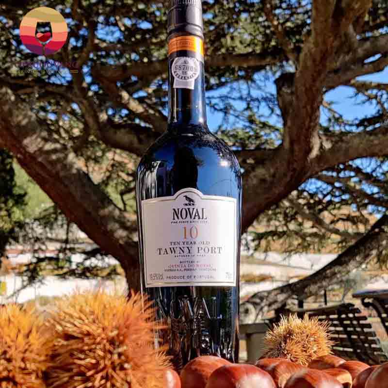 Rượu vang Quinta do Noval 10 Years Tawny Port Porto