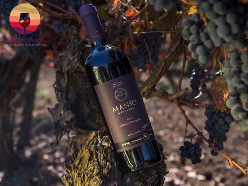 Rượu vang Miguel Torres Manso de Velasco Cabernet Sauvignon Old Vines Curico Valley
