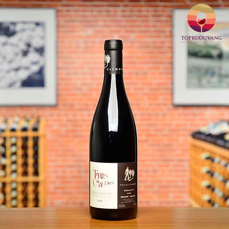 Rượu vang Thierry Germain Domaine Des Roches Neuves Les Terres Chaudes Saumur Champigny