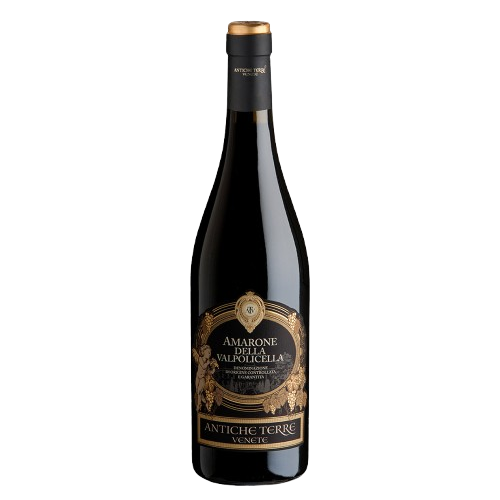Rượu Vang Ý Valpolicella Ripasso Biologico DOC
