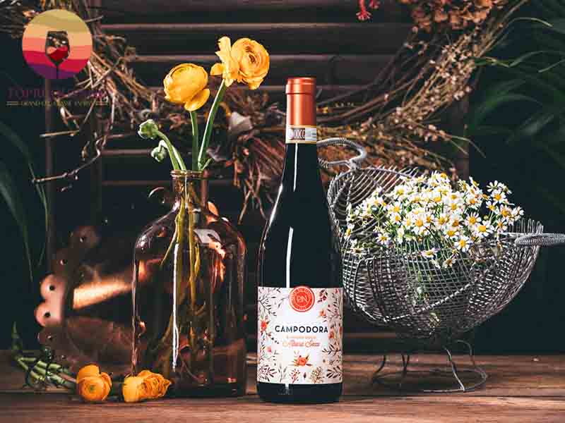 Rượu vang Ý Campodora Romagna Albana Secco