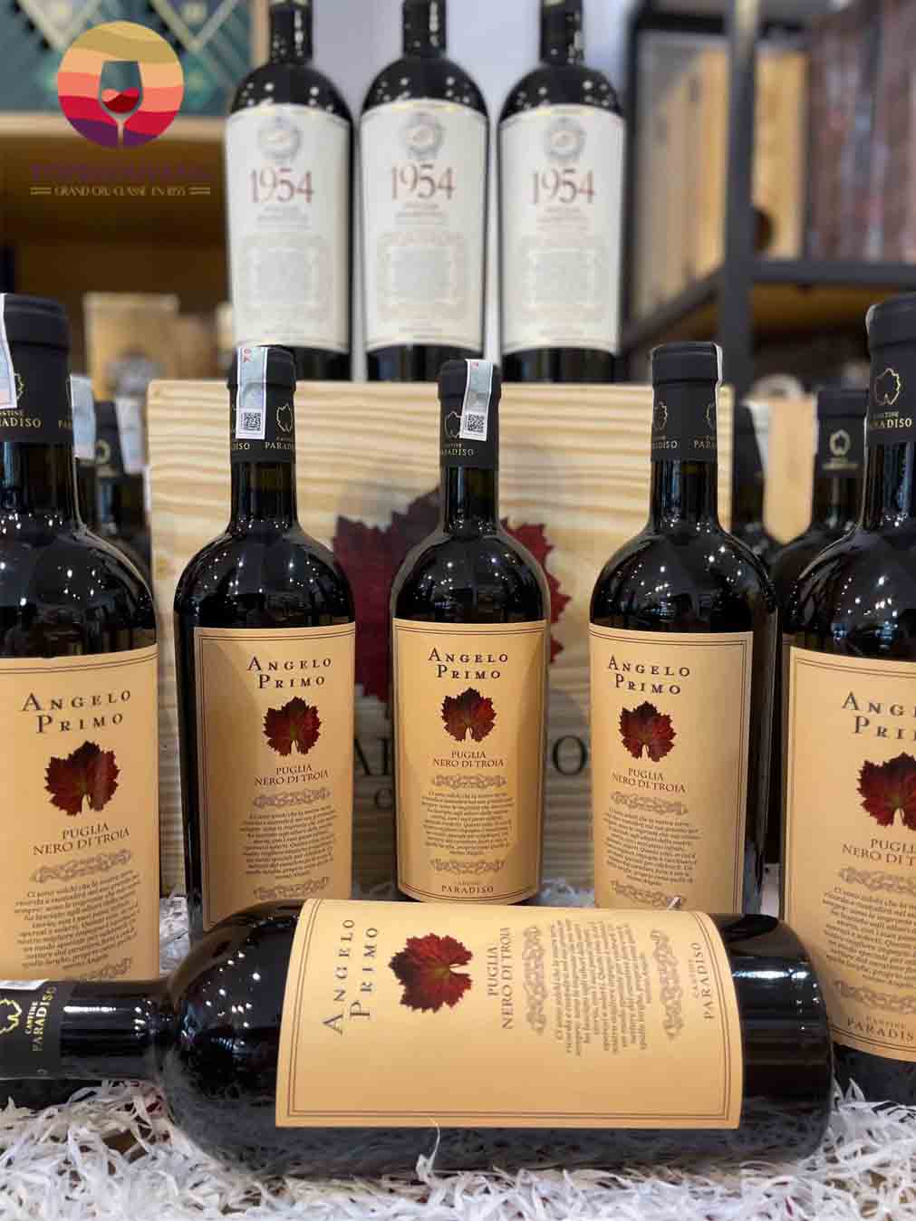 Rượu vang Ý Cantine Paradiso Angelo Primo