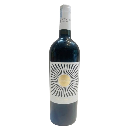 Rượu Vang Ý Radiant Rosso Di Camillo