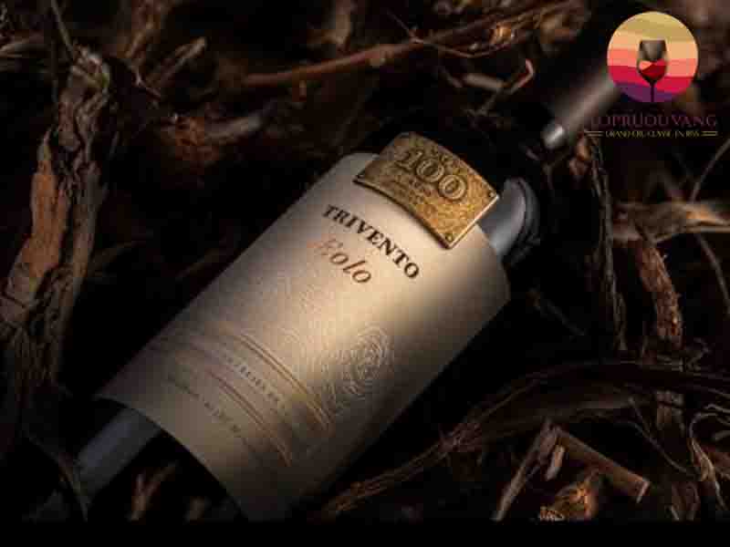 Rượu vang Argentina Trivento Eolo Malbec