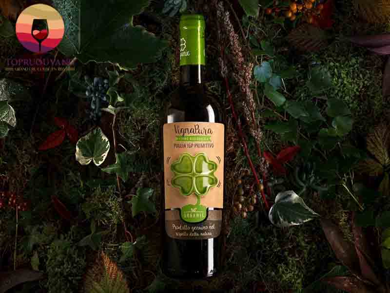 Rượu vang Ý Brolo Del Figaretto Amarone della Valpolicella DOCG