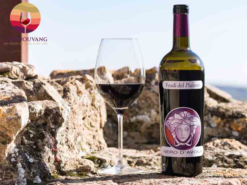 Rượu vang Ý Feudi Del Pisciotto Versace Nero D’Avola Sicilia DOC