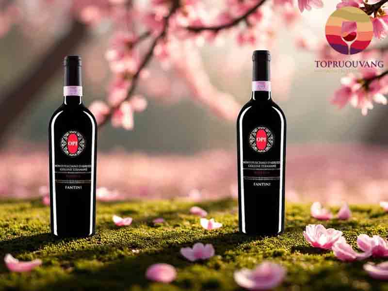 Rượu vang Ý OPI Montepulciano D’ Abruzzo Colline Teramane DOCG Riserva 14,5%